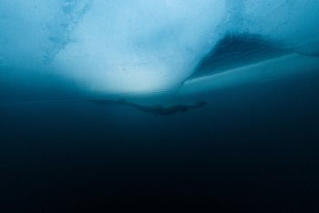 Třetí epizoda série Adventure, „Ice Dive“ s Antem Williamsem, bude v USA dostupná v prosinci.